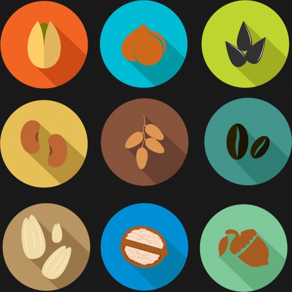 nut bean icons collection various colored types isolation