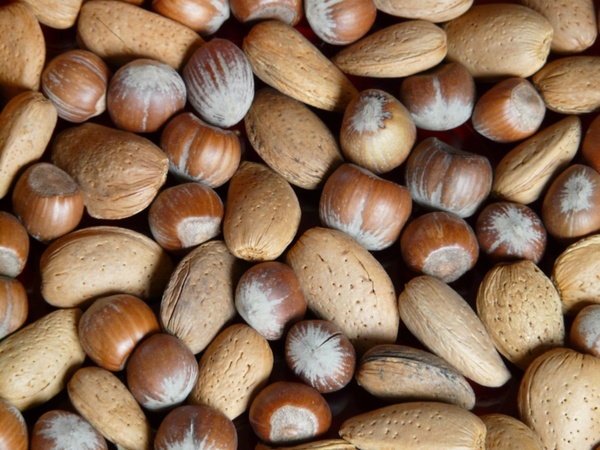 nuts almonds hazelnuts
