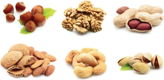 nuts and dried fruit hd pictures