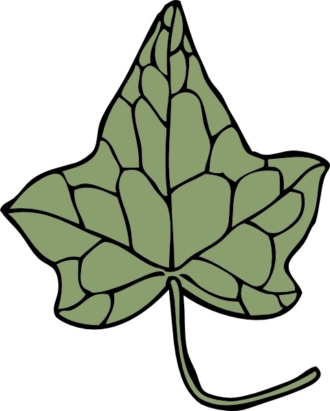 Oak Ivy Leaf clip art
