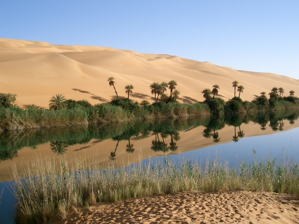 oasis libya desert