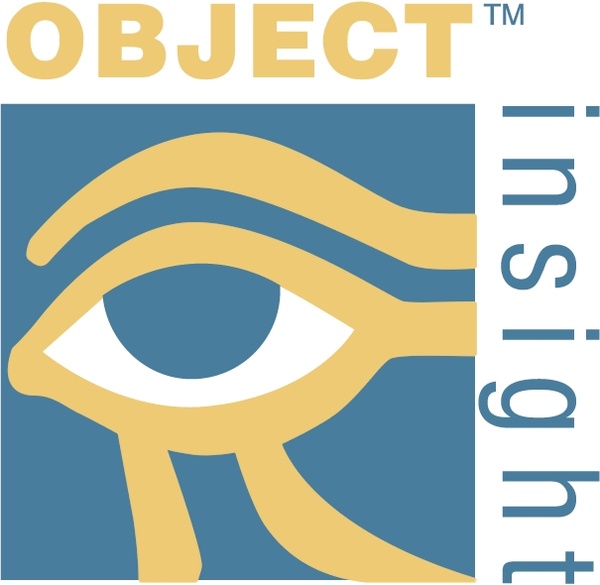 object insight