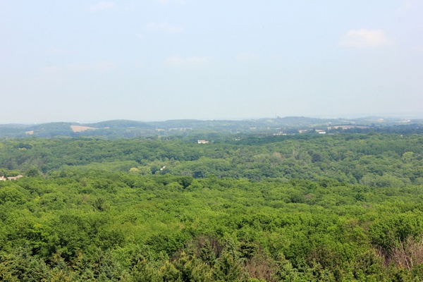 observation tower view at lapham peak state park wisconsin
