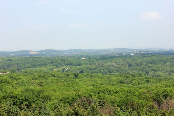 observation tower view at lapham peak state park wisconsin 