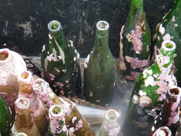 old bottles from beneath the sea