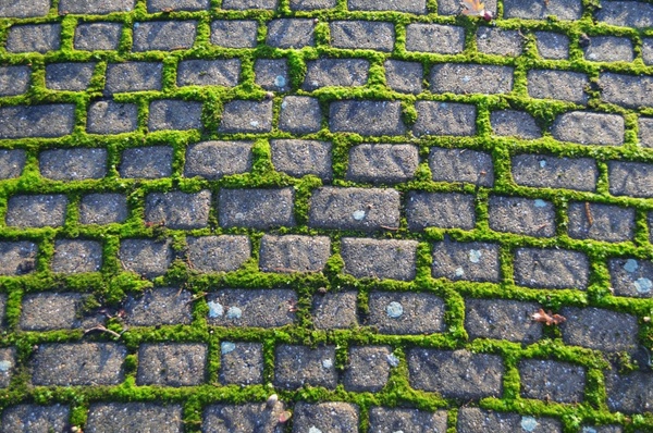 old pavement