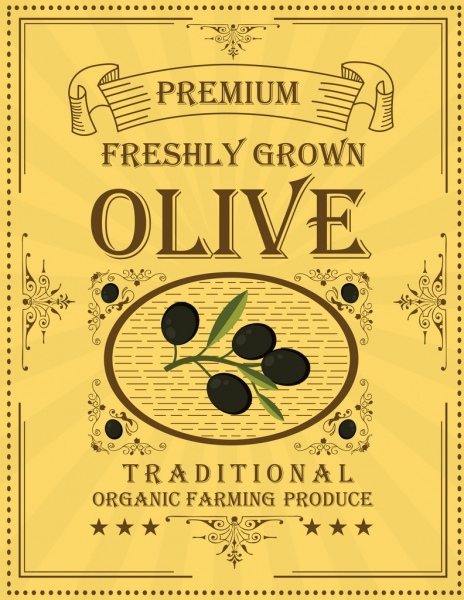 olive advertising classical design fruit texts decoration