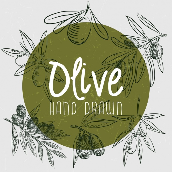 olive advertising handdrawn fruits decoration