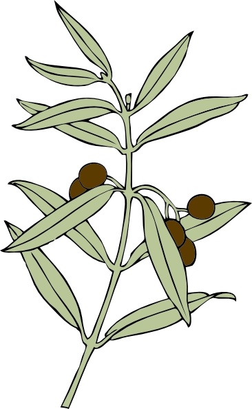 Olive Branch clip art Free vector in Open office drawing ...