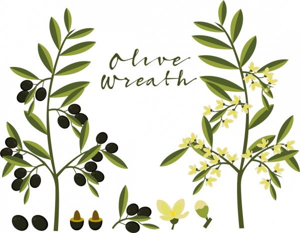 olive tree icons green design