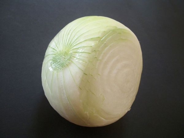 onion vegetable white