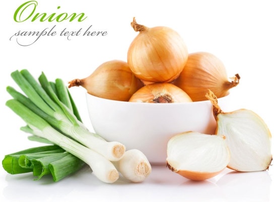 onions and green onions highdefinition picture