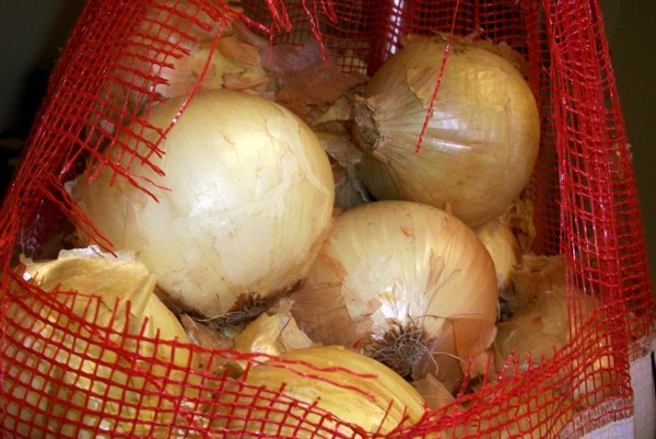 onions vegetable ingredients