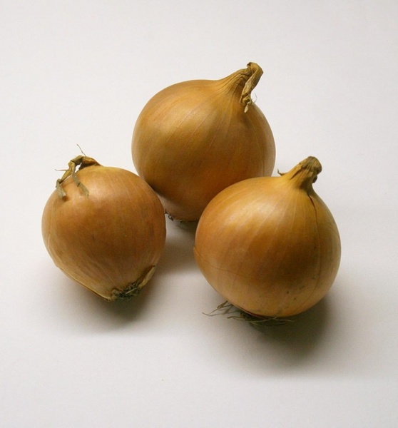 onions vegetables ingredient