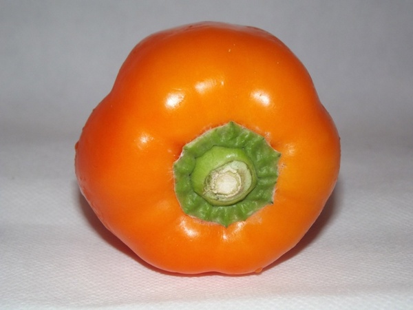 orange bell pepper 02