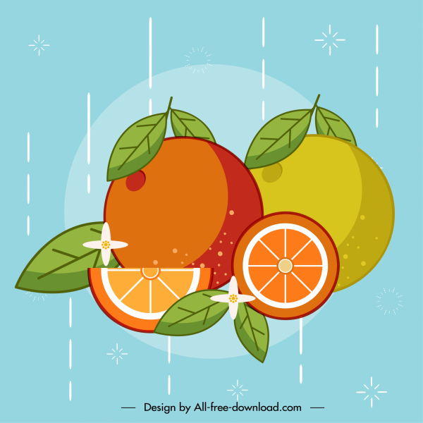 orange fruit background colorful classic handdrawn sketch