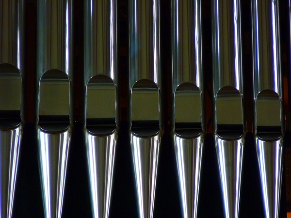organ organ whistle music