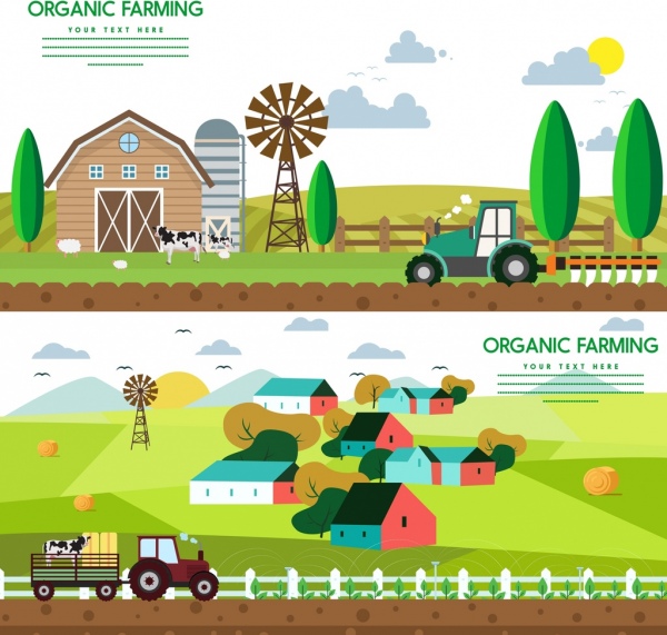 organic farming advertisement colored cartoon decoration