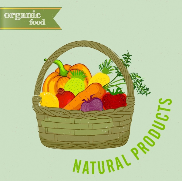 organic food advertising fruit basket icon multicolored design