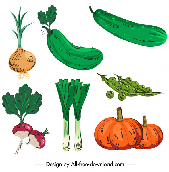 organic food icons colored classical sketch
