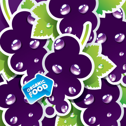 organic food labels stickers design vector
