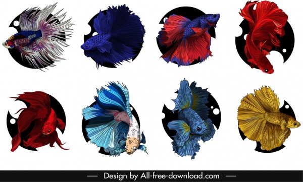 ornamental fish icons colorful swimming sketch