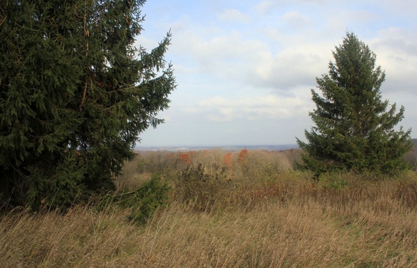 overlook behind trees in blue mound state park wisconsin 