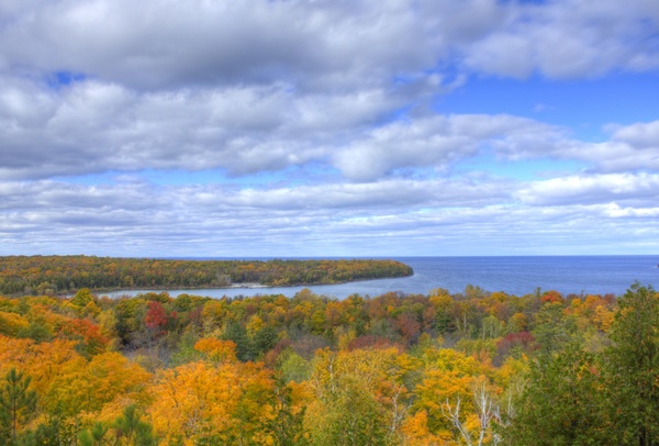 overview of the autumn forest at peninsula state park wisconsin