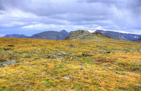 overview of the tundra landscape at rocky mountains national park colorado 