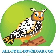 Owl 17 