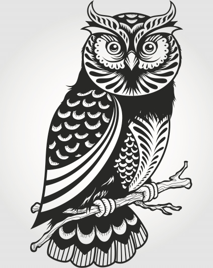 owl design vector