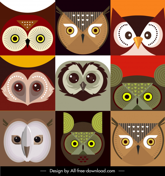 owl faces backgrounds colorful flat symmetric closeup design