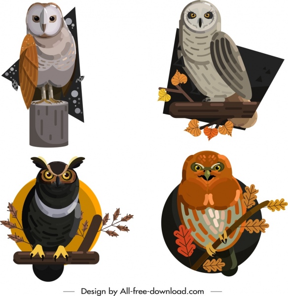 owl wild animals icons colored cartoon sketch