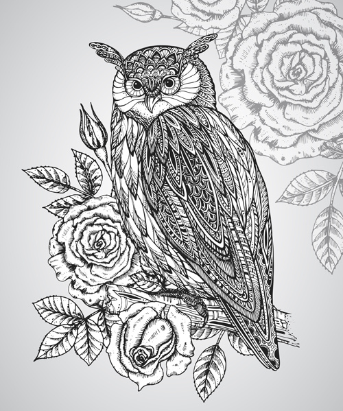 owl with ornament floral vector