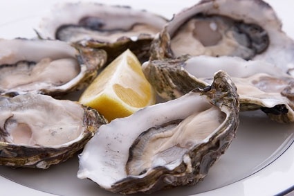 oysters picture