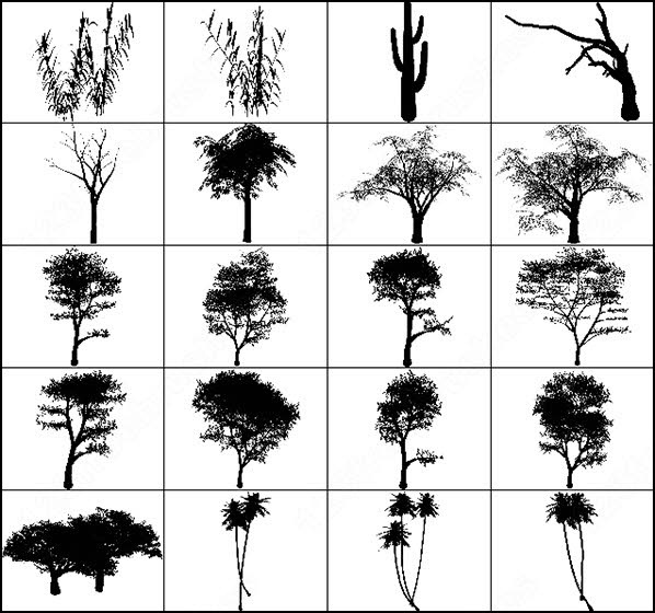 photoshop tree brushes plan