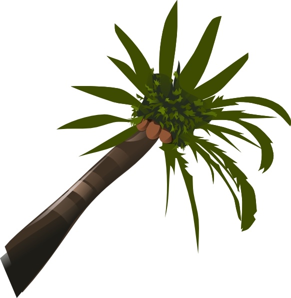 Palm Tree clip art
