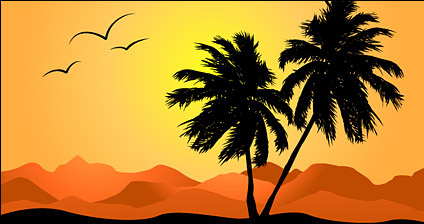 Palm tree in sunset