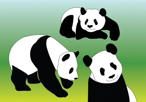 Panda Vectors 