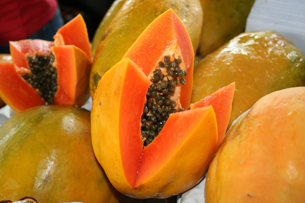 Papaya photos free download 45 .jpg files