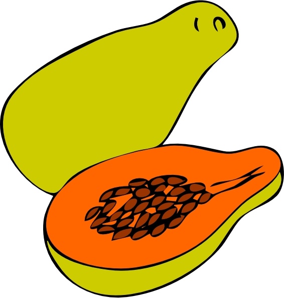 Papaya clip art