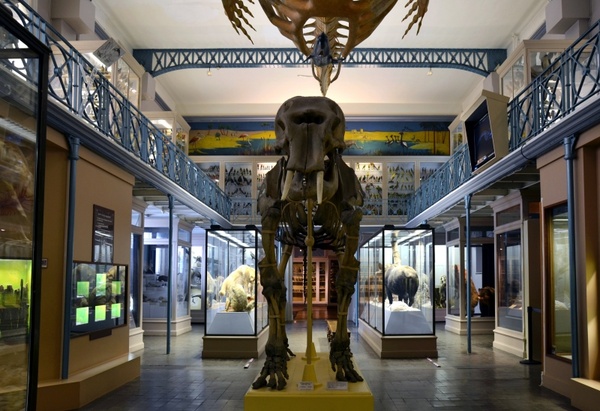 paris france museum of natural history