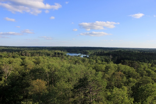 park view from the tower at lake itasca state park minnesota