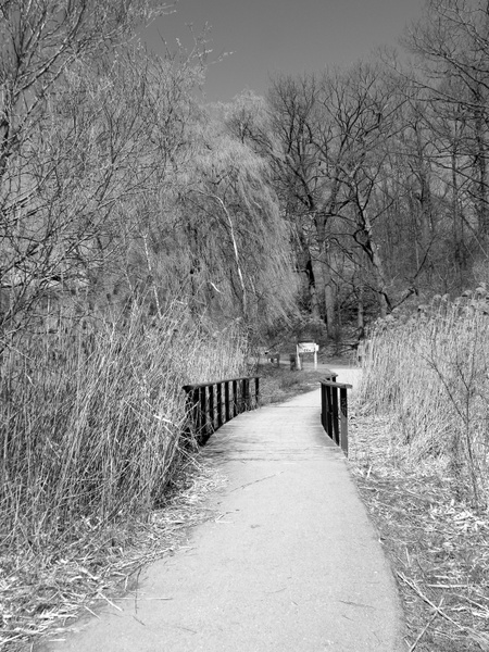 park walk black and white