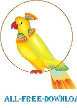 Parrot 20