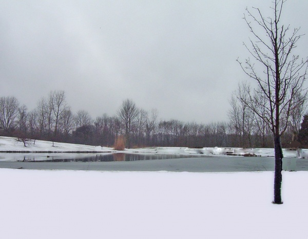partially frozen pond 