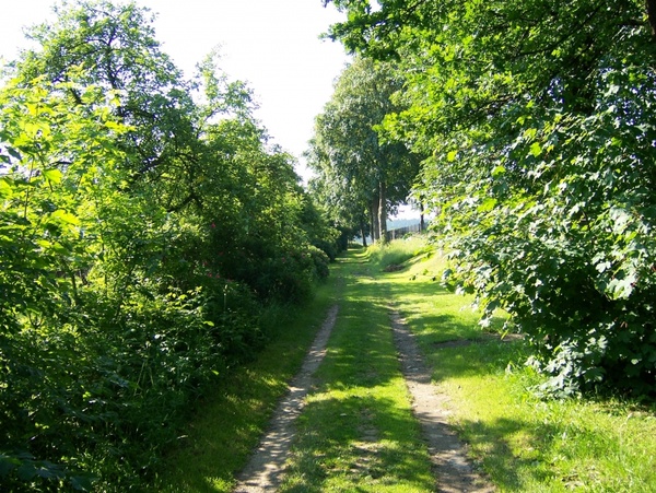 path 