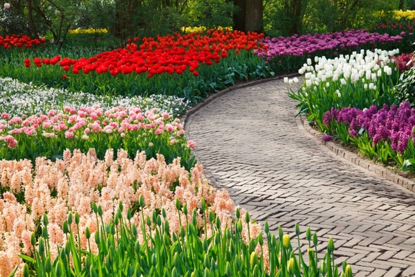 path among flowers
