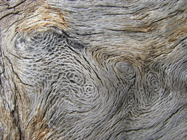 pattern of a piece of wood