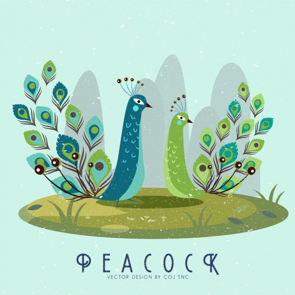 peacock drawing colored retro design